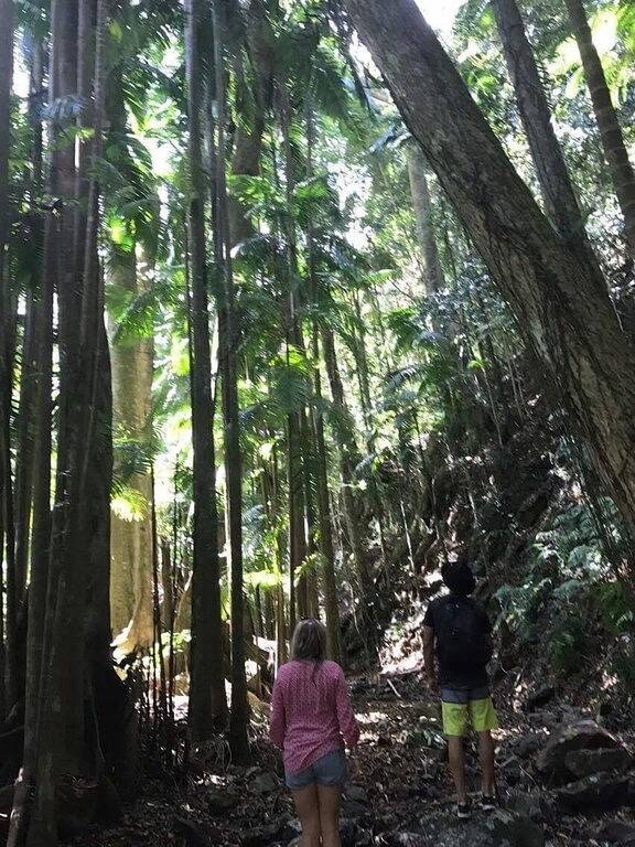 Lodge for 3 people, with balcony and garden, with pets in New South Wales