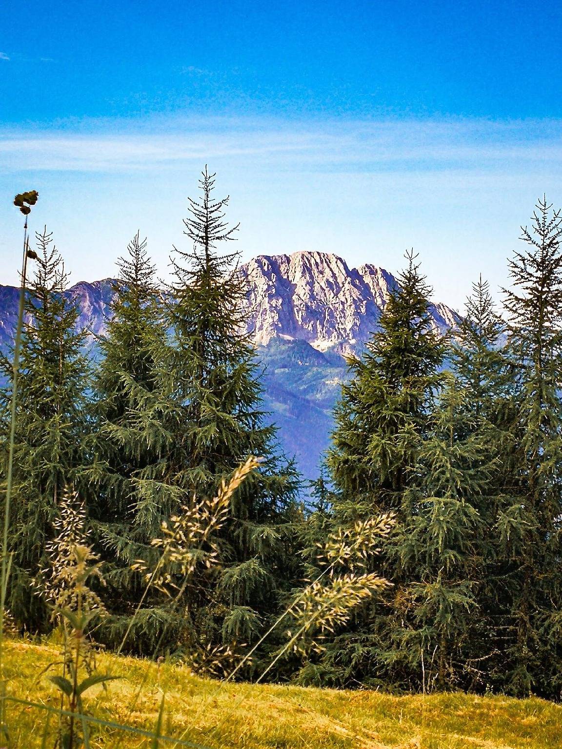 "Almhütte Enzian" mit Bergblick - Sonnenterrasse in Greifenburg, Oberkärnten