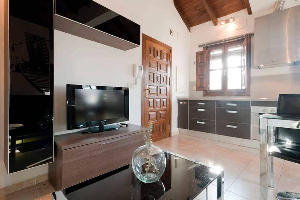 Entire apartment, Fantástico Loft Ático Con Fantástica Terraza Privada Situado Centro Más Servicio in Centro-Sagrario, Granada