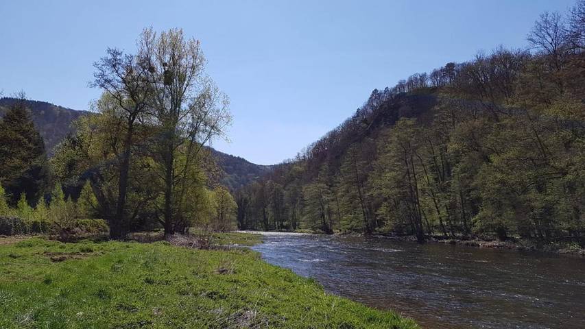 Location de vacances pour 4 personnes, avec Terrasse ainsi que Jardin et Vue dans Sougné-Remouchamps - 4
