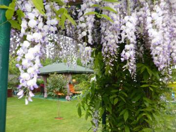Ferienhaus für 3 Personen in Wittenberg, Lutherstadt Wittenberg und Umgebung, Bild 4
