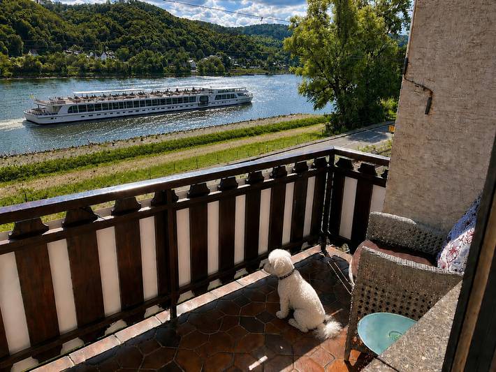 Ferienwohnung für 8 Personen, mit Balkon und Garten sowie Sauna in Loreley - 2