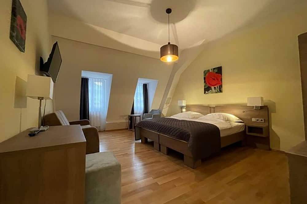 Apartment 4 / Young Werther in Altstadt Heidelberg, Heidelberg