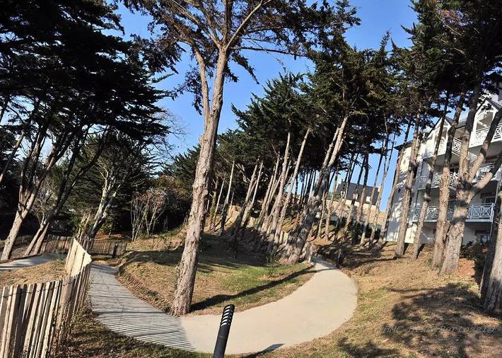 Gîte pour 2 personnes, avec sauna dans Office de Tourisme de Pleneuf Val Andre - 3