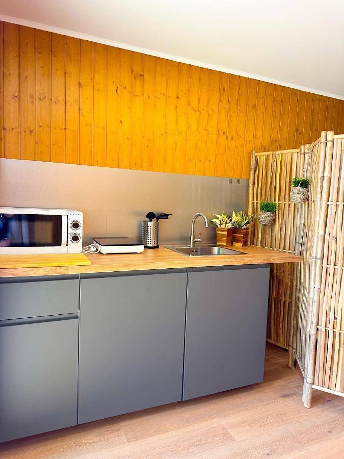 Location de vacances pour 3 personnes, avec piscine et jardin ainsi que terrasse et vue dans Rio Caldo - 3