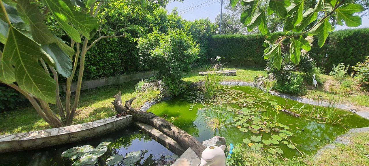 Appartement entier, One-Bedroom Apartment in Calmont, Lauragais
