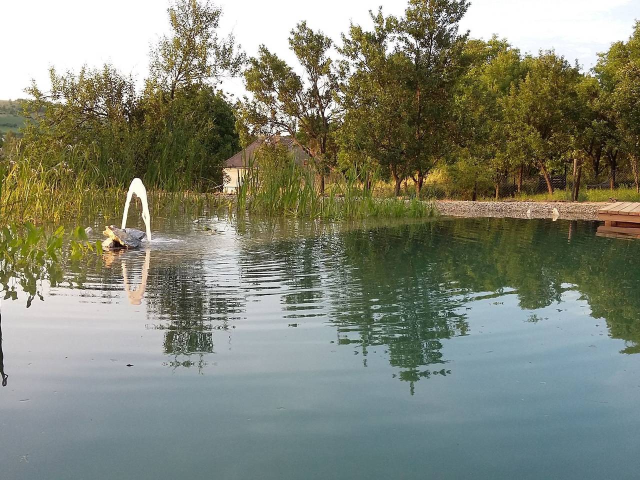 Mit biologischem Schwimmteich in Csernely, Borsod-Abaúj-Zemplén megye