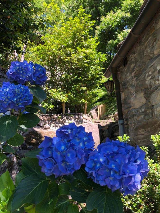 Holiday Home in Maggia, Tessiner Alpen