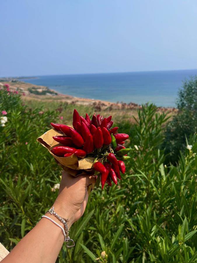 Marine Park Casa Vacanze in Crotone, Provincia di Crotone
