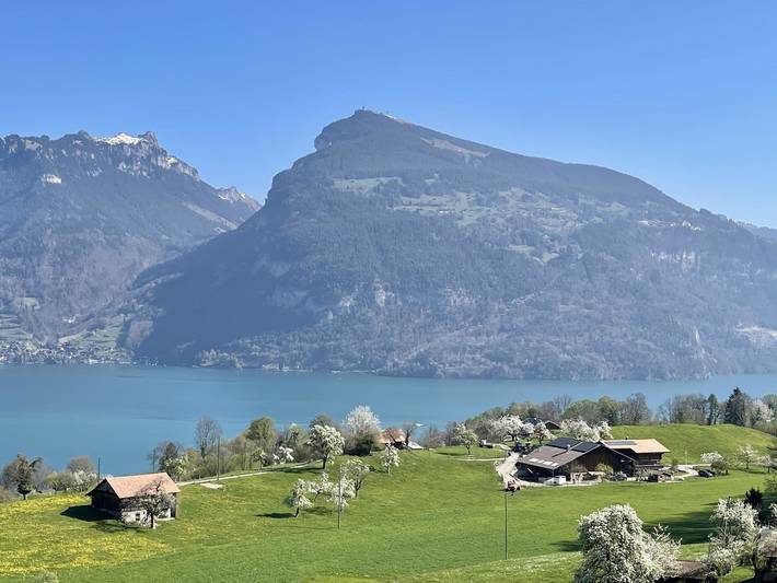 Ferienwohnung für 2 Personen, mit Seeblick und Garten am Thunersee - 2