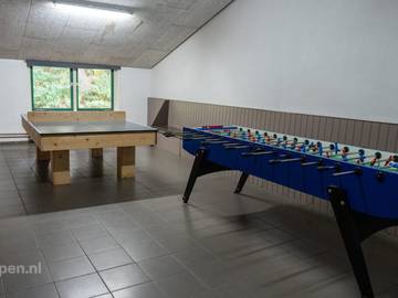 Villa pour 60 Personnes dans Veluwe, Gelderland, Photo 3