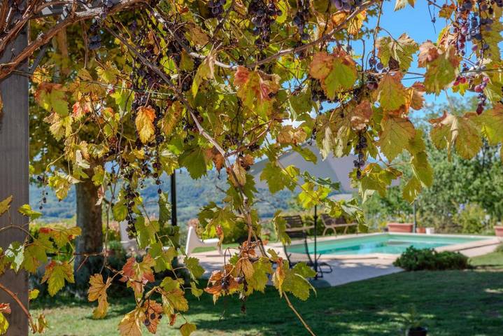 Villa per 8 persone, con piscina e panorama nonché giardino, con animali domestici - 1