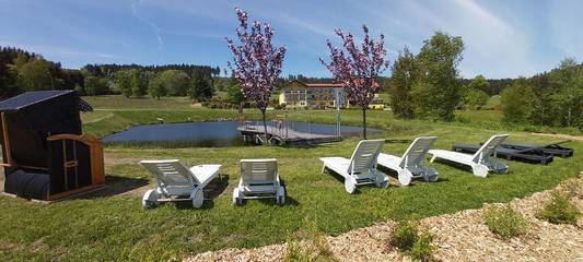 Gästehaus für 2 Personen in Gemeinde Moorbad Harbach, Waldviertel, Bild 1