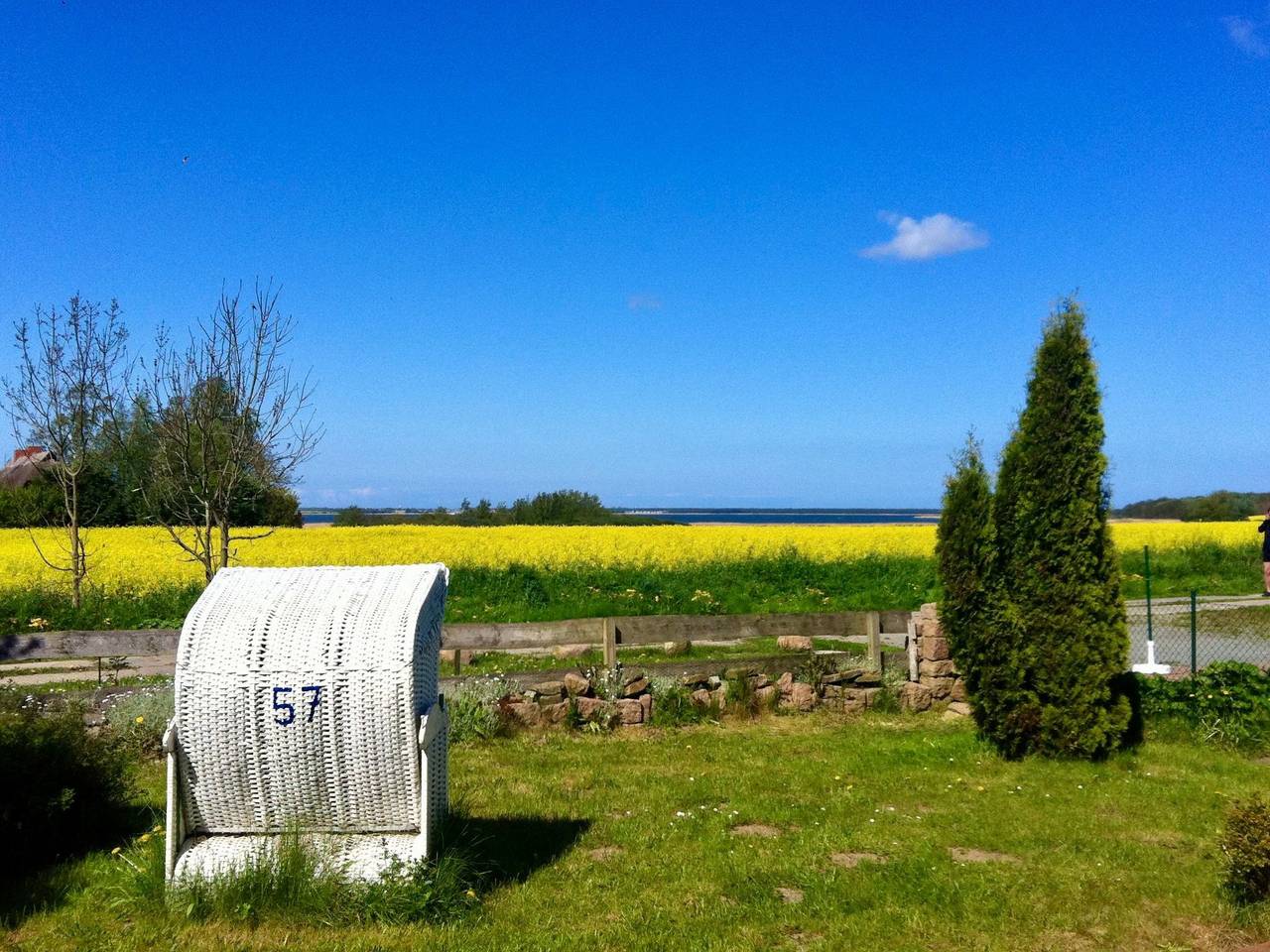 Boddentraum in Vieregge, Neuenkirchen (Rügen)