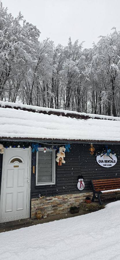 Appartement entier, Studio dorința in Deva (Roumanie), Carpates