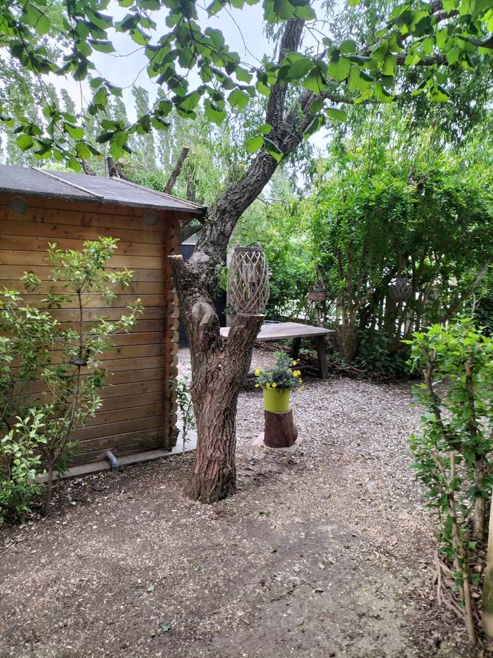 Gîte pour 4 personnes, avec terrasse ainsi que piscine et jardin, animaux acceptés dans Parc naturel régional du Mont-Ventoux - 4