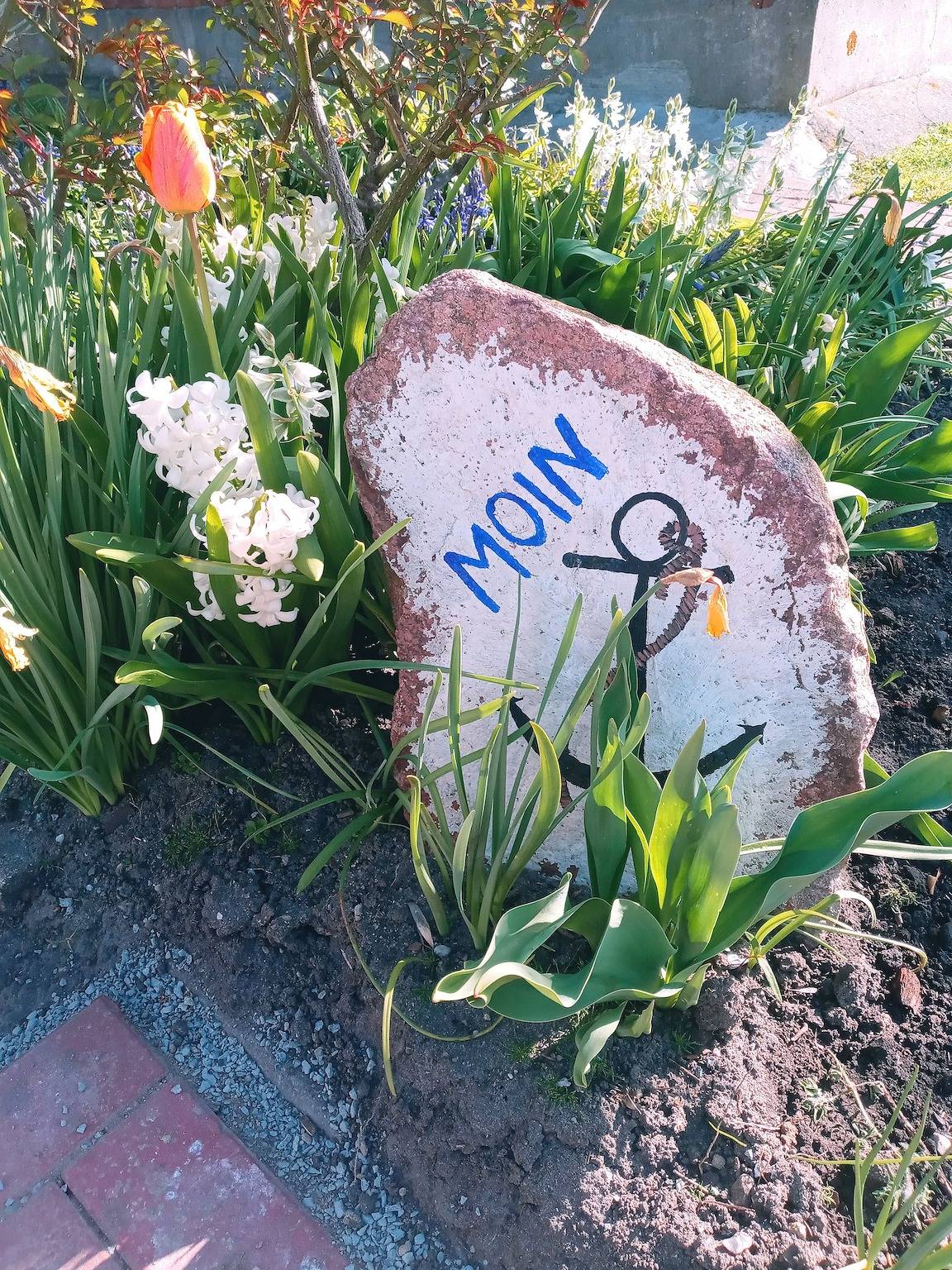 Ferienwohnung in Fehmarn ab 113€ pro Nacht