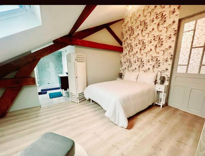 Maison d’hôte pour 3 personnes, avec vue et jardin, animaux acceptés à Tarbes - 4