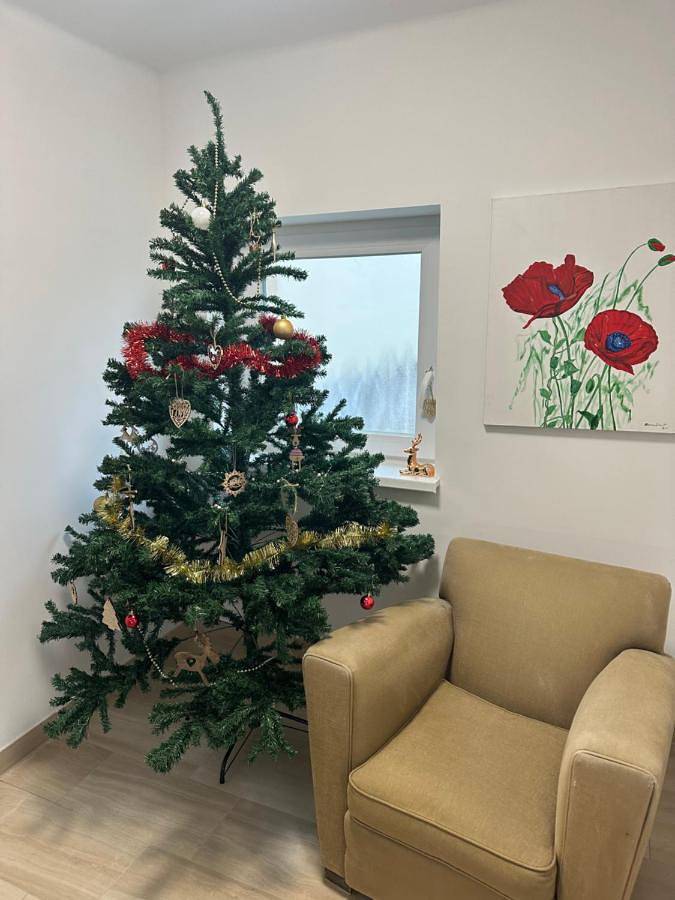 Gîte pour 8 personnes, avec jardin à Innenheim - 4