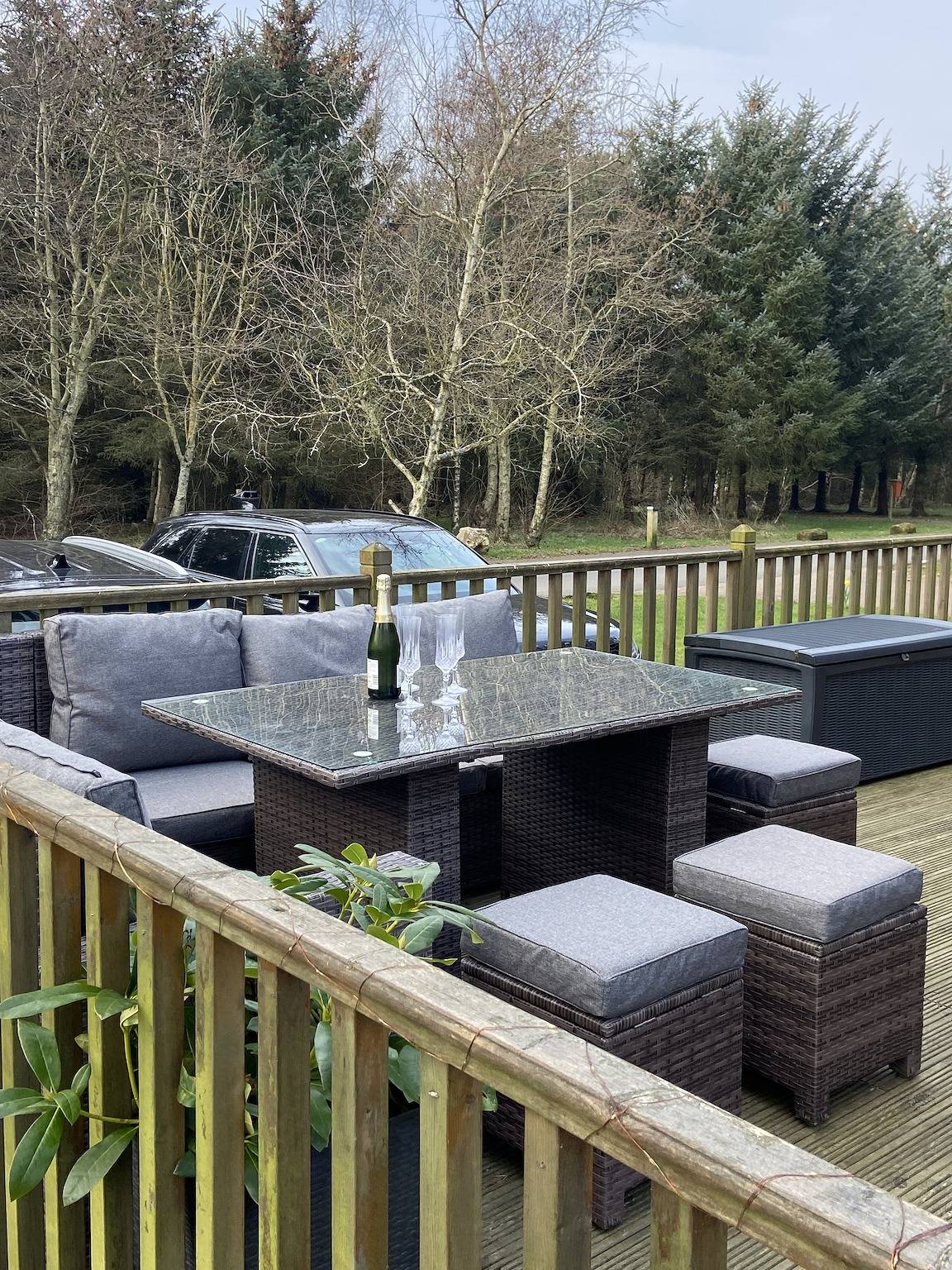 Little Fawn in Northumberland