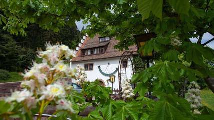 Vakantiehuis voor 11 Personen in Freudenstadt, Central Black Forest, Afbeelding 1