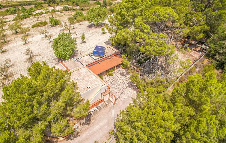 Finca für 10 Personen, mit Terrasse, mit Haustier in Sant Joan (Mallorca) - 4