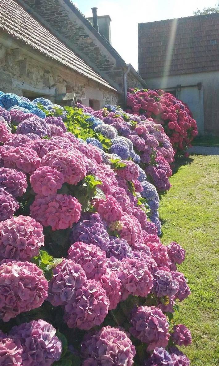 Chambre d’hôte pour 2 personnes, avec jacuzzi ainsi que jardin et terrasse à Plestin-les-Grèves - 2