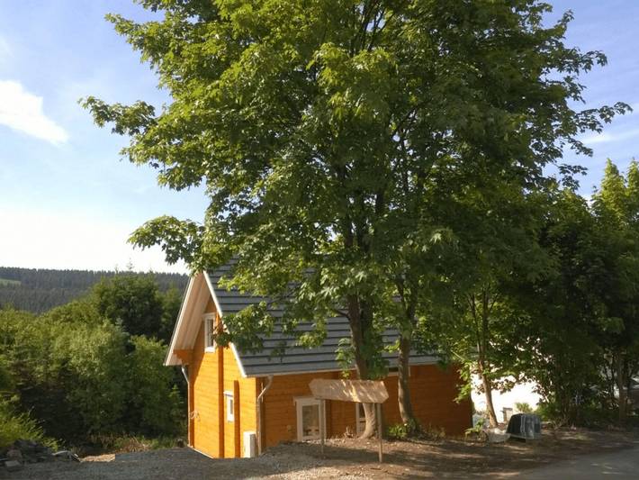 Ferienhaus für 8 Personen, mit Terrasse und Garten sowie Sauna, mit Haustier im Sauerland