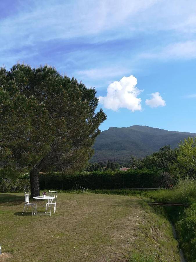 Appartement entier, Apartment in Laroque-des-Albères, Région de Céret
