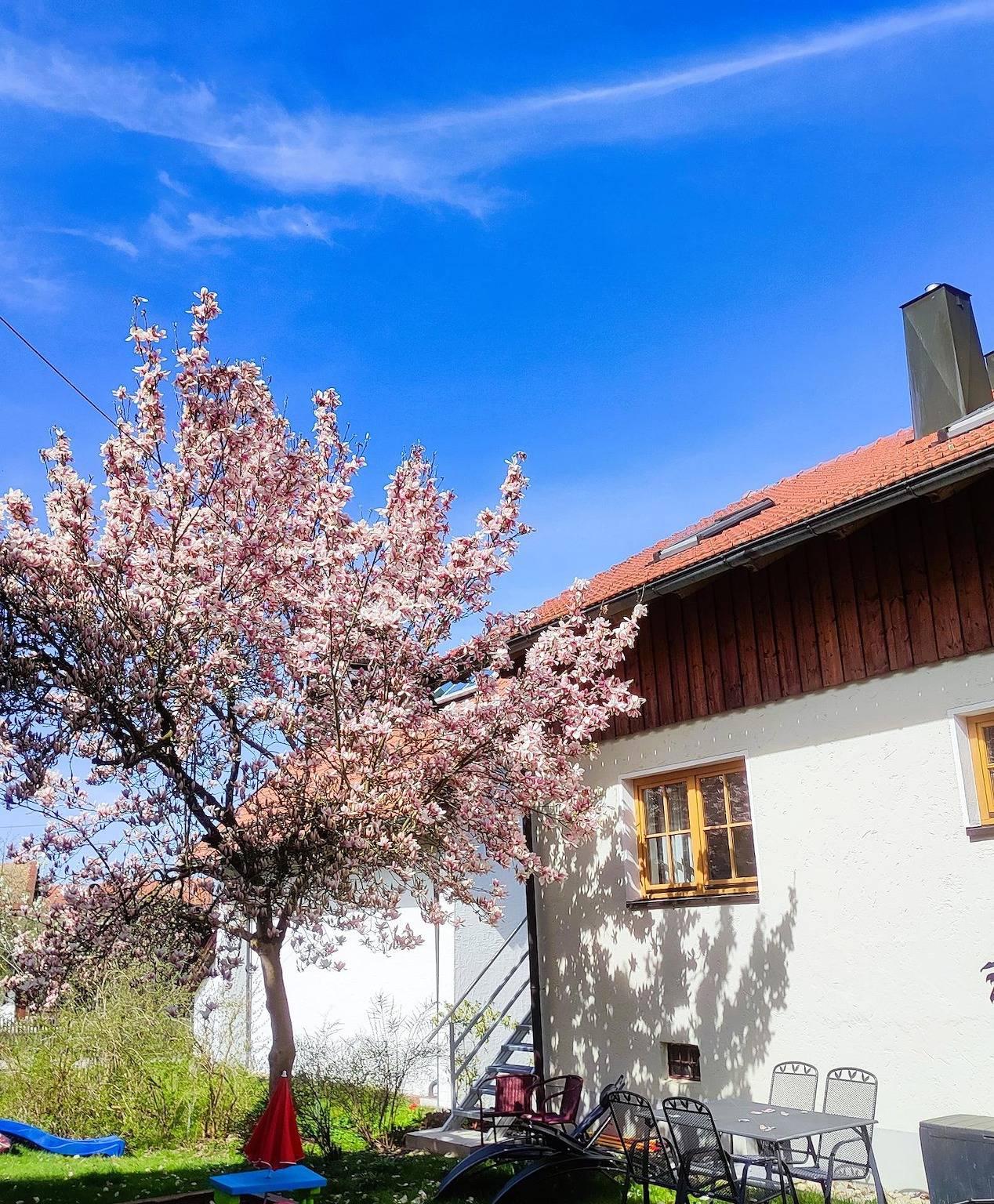 Ferienwohnung zur alten Schmiede - Ferienwohnung für bis zu 8 Personen in Arrach, Ostbayern