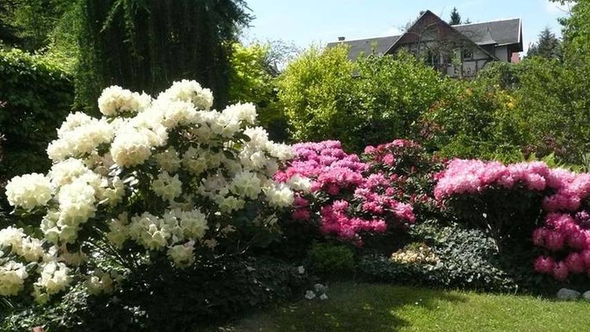 Ferienwohnung für 5 Personen, mit Terrasse in Gohrisch - 3