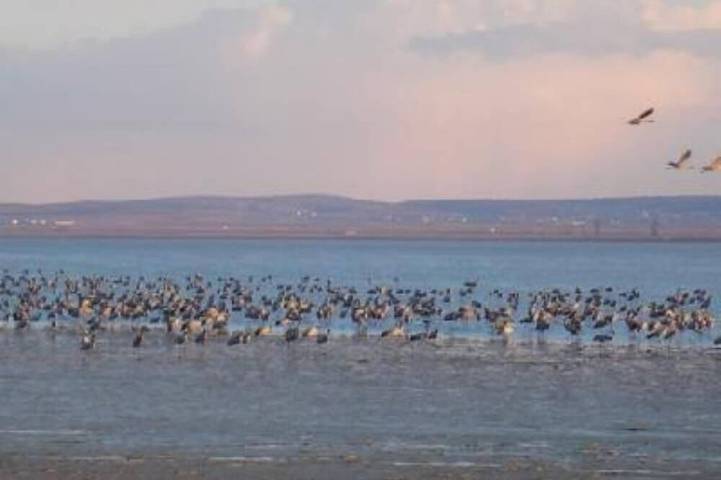 Gîte pour 6 personnes, avec jardin et terrasse