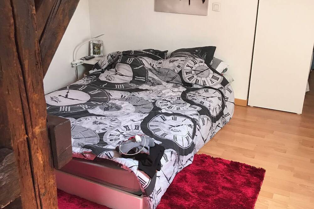 Entire apartment, Rent 3-room apartment in a prime location, 5 minutes walk from downtown in Colmar, Colmar region
