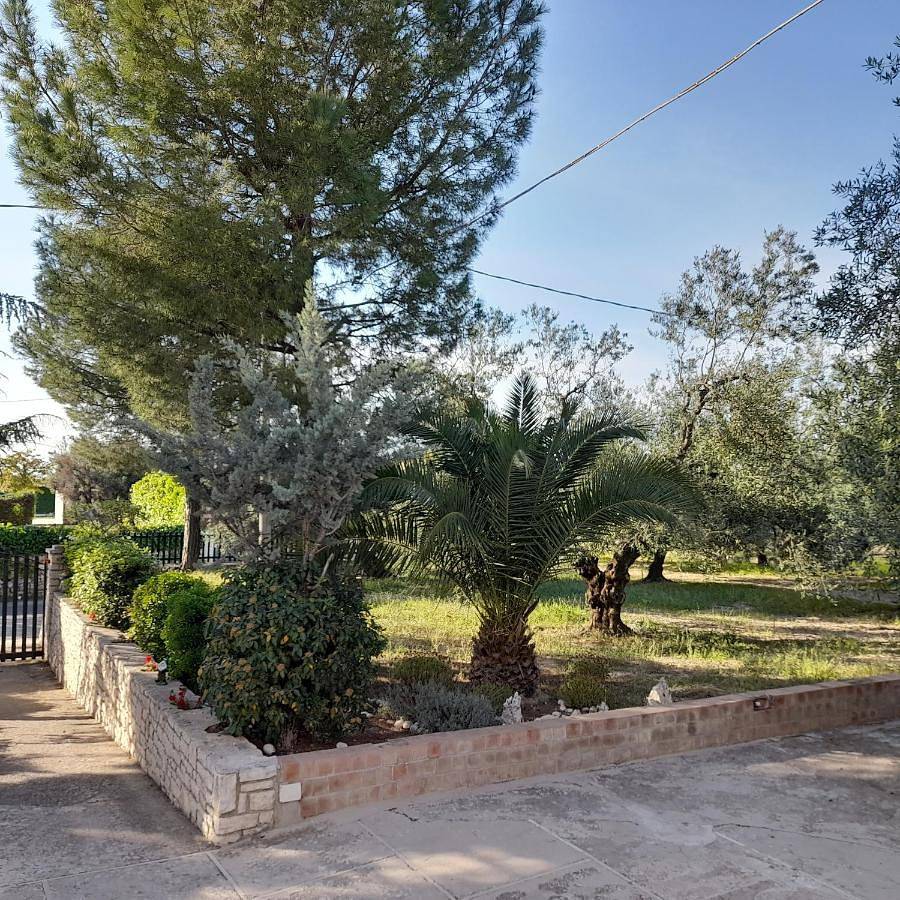 Villa Hakuna Matata in Andria, Barletta-Andria-Trani