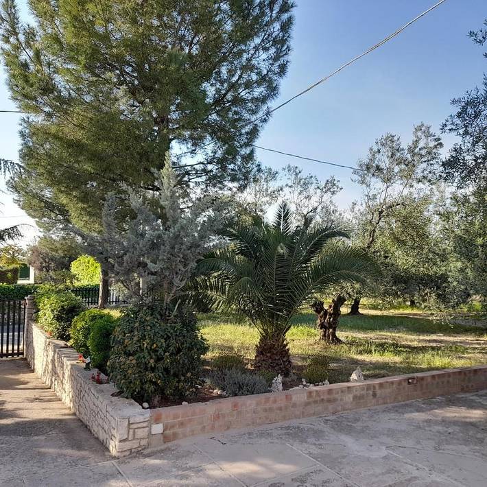 Location de vacances pour 4 personnes, avec vue ainsi que piscine et jardin à Andria - 4