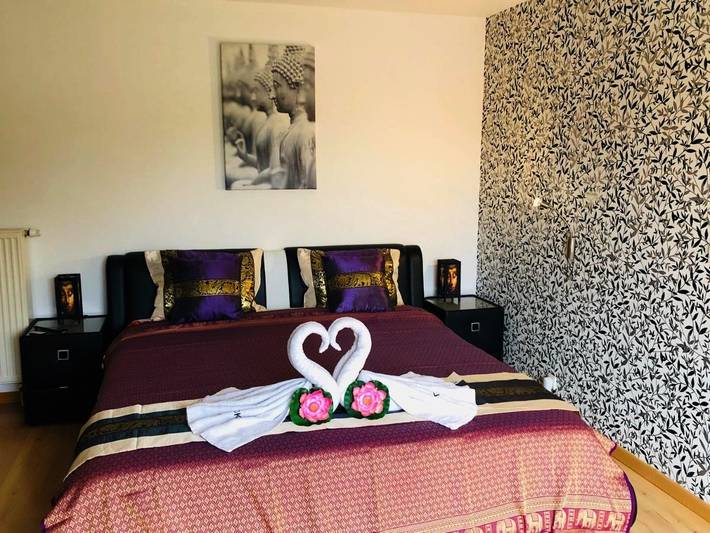 Chambre d’hôte pour 3 personnes, avec vue et jardin dans la Région d'Audenarde - 2