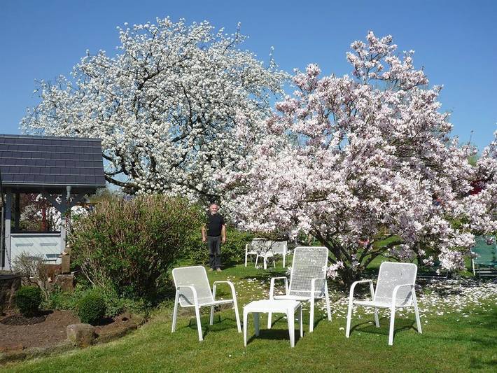 Gîte pour 2 personnes, avec terrasse et jardin, adapté aux familles à Sarrebourg (Allemagne) - 3