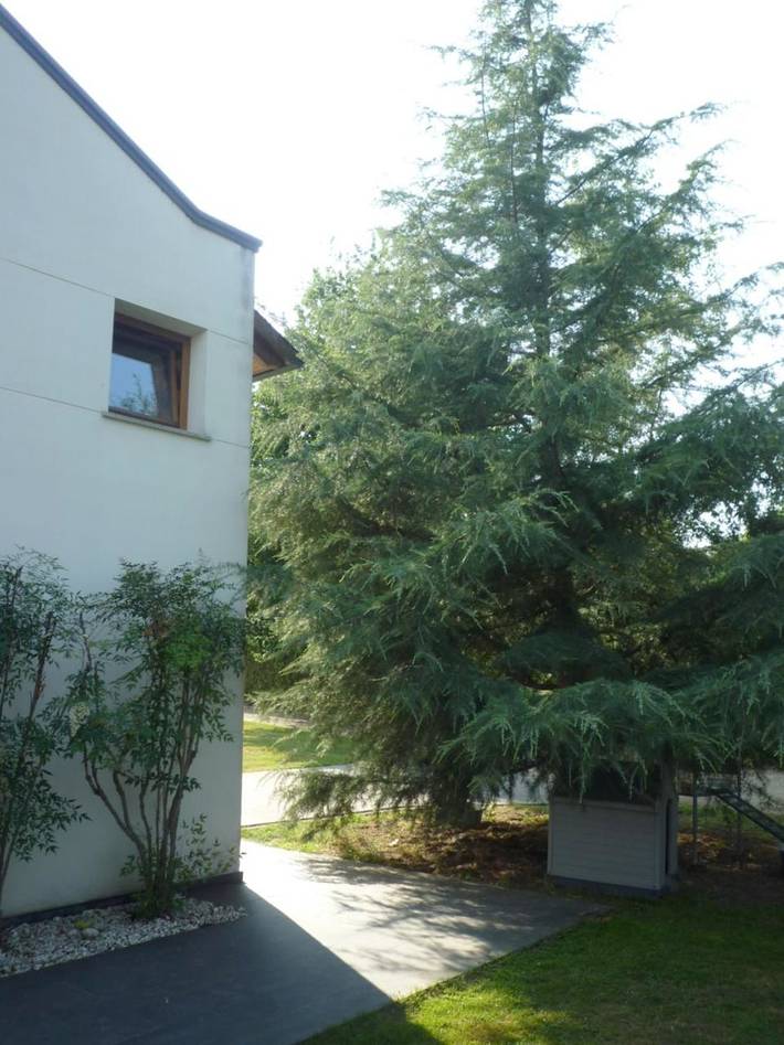 Casa de vacaciones para 5 personas, con Terraza y Jardín además de Piscina y Vistas en Provincia de Lugo - 2