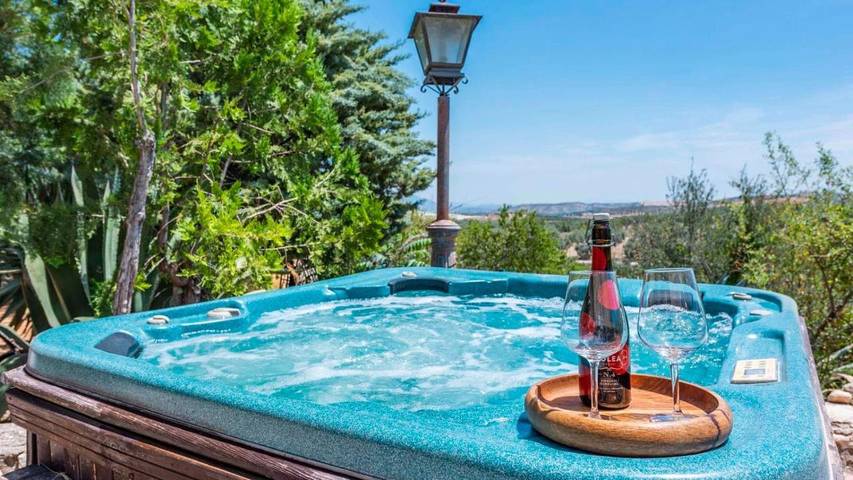 Location de vacances pour 8 personnes, avec piscine ainsi que jardin et sauna à Loja - 3