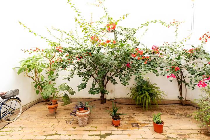 Ganze Wohnung, Ferienwohnung 'Tulip' mit Klimaanlage in Casco Antiguo, Sevilla