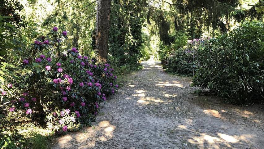 Ferienhaus für 4 Personen, mit Garten in Serengeti Park (Hodenhagen) - 2