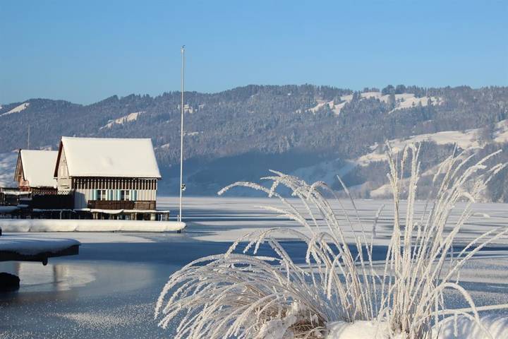 Ferienwohnung für 4 Personen, mit Garten und Terrasse am Großer Alpsee - 3