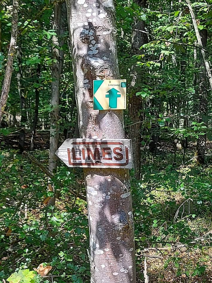Ferienhaus für 4 Personen, mit Garten und Terrasse, mit Haustier am Brombachsee - 2