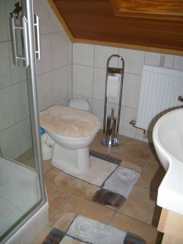 Ganze Ferienwohnung, Appartement/Fewo, Dusche, Wc, Balkon in Erlenbach bei Dahn, Pfalz