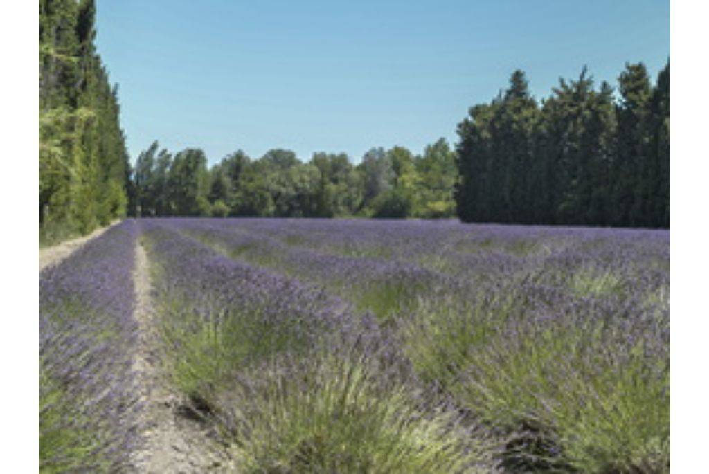 Appartement entier, Sun Hols Les Rives du Lac M2D4  in Saint-Saturnin-lès-Avignon, Vaucluse