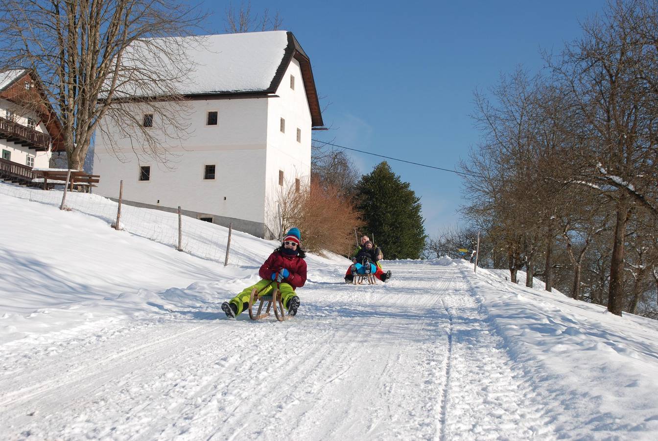 Bauernhaus für 4 Personen mit Garten in Vorderstoder, Totes Gebirge