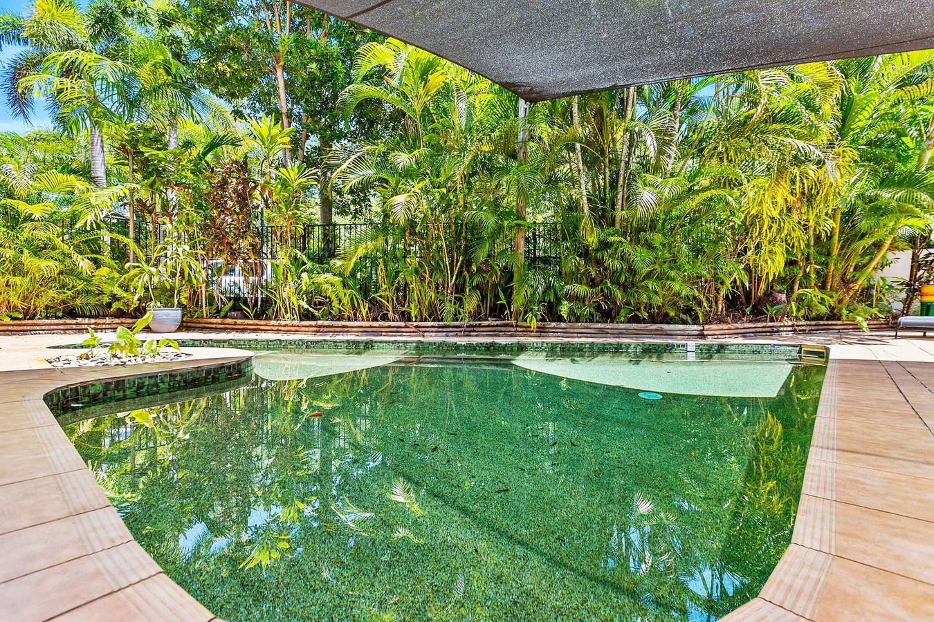 Entire apartment, Melaleuca Hideaway - Beach  Pool  free parking in Cairns, Far North Queensland