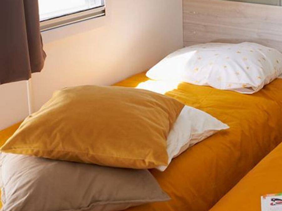 Camping Le Mont Grêle - Mobilhome 4 personnes - Mobil home Trigano Evo 24 - 24m² in Lépin-le-Lac, Région de Chambéry