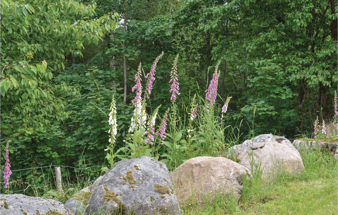 Hus för 6 Personer med trädgård in Hylte gielda, Halland