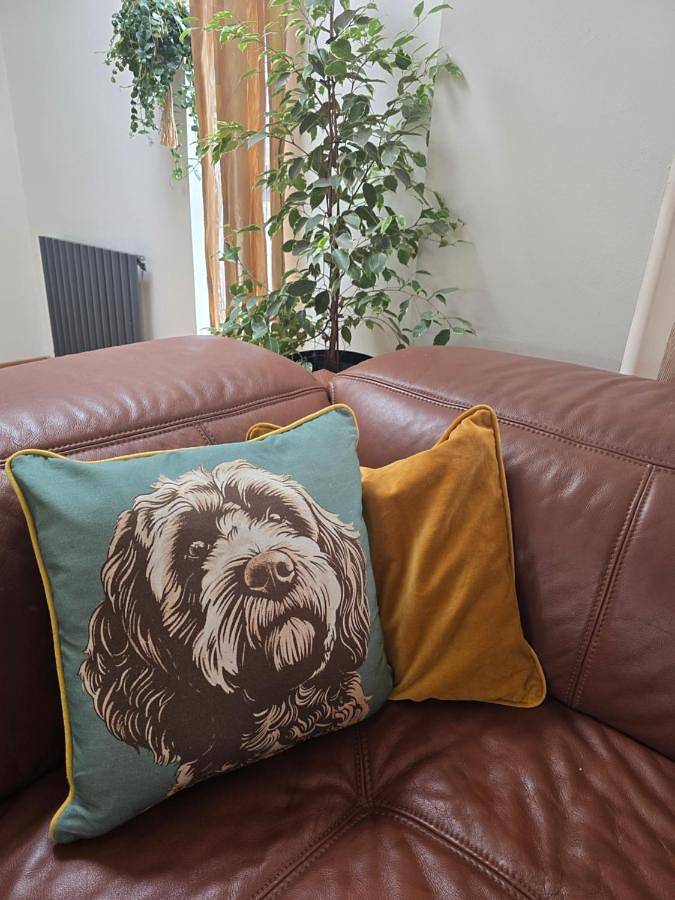 Three-Bedroom House in Totnes, Devon